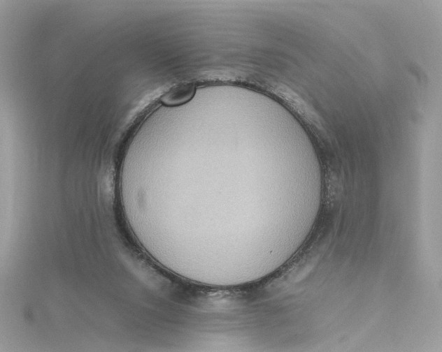 X0000115190064200911181456