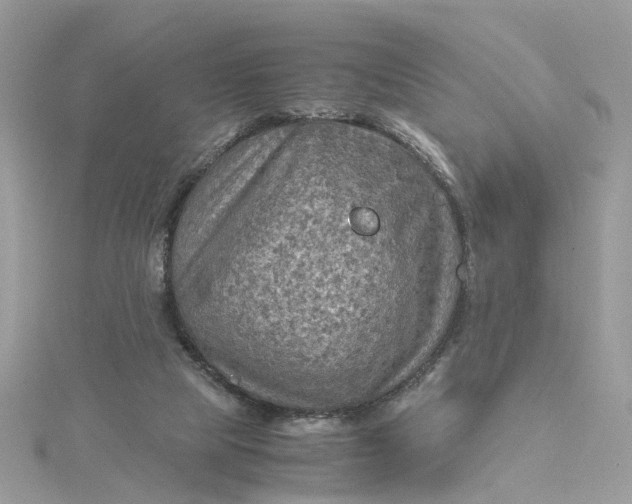 X0000115190065200911181456