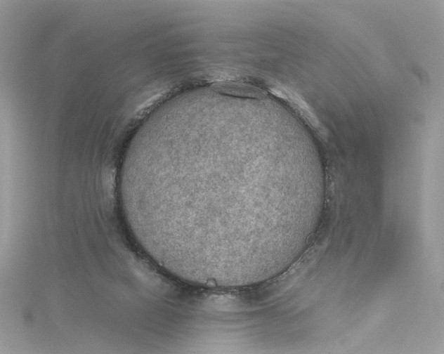 X0000115190066200911181457