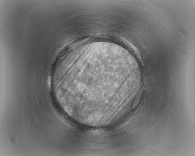 X0000115190067200911181457