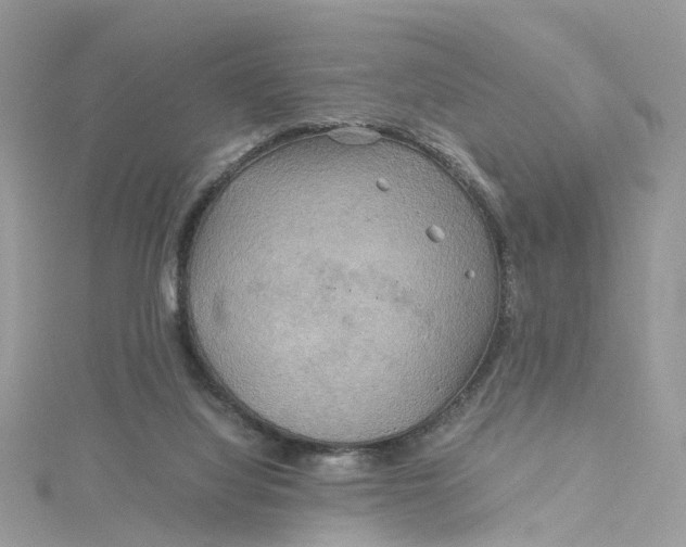 X0000115190068200911181457