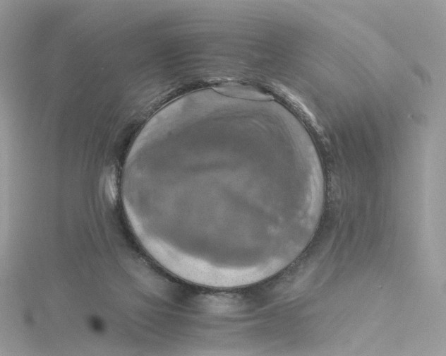 X0000115190069200911181457