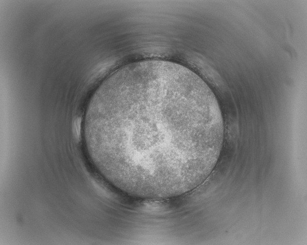 X0000115190070200911181457