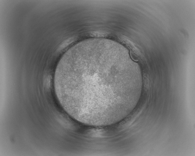 X0000115190071200911181457