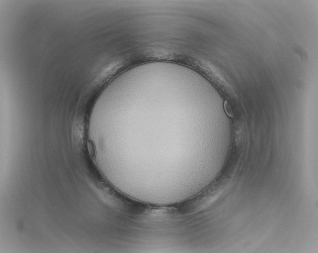 X0000115190072200911181457