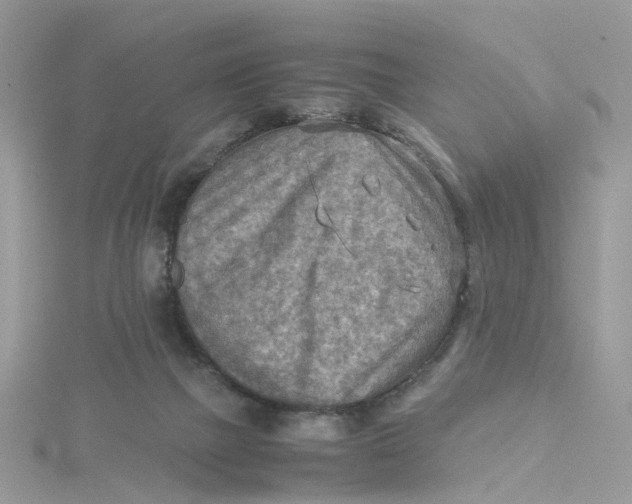 X0000115190073200911181457