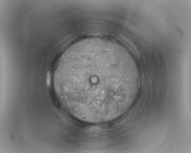 X0000115190075200911181457