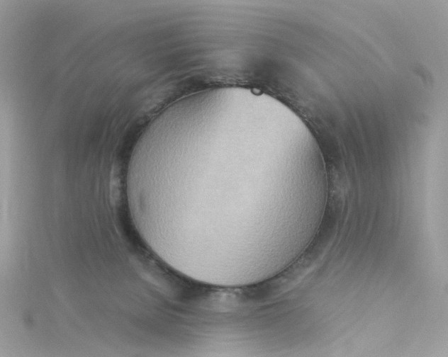 X0000115190080200911181457