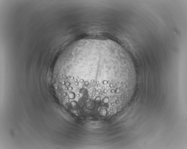 X0000115190081200911181457