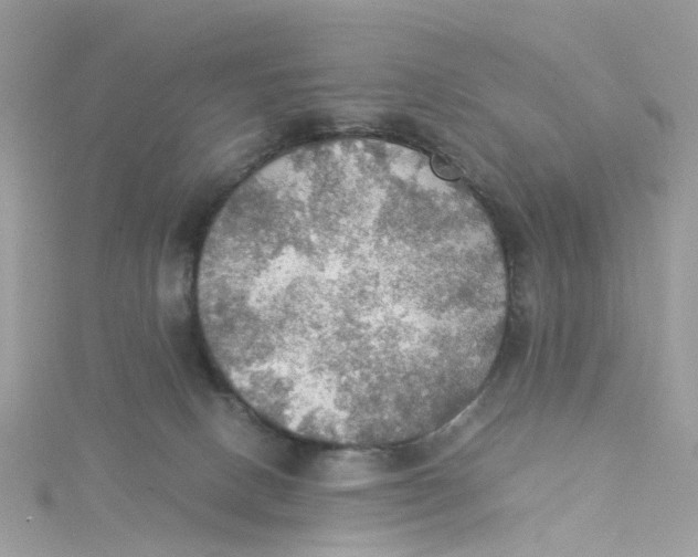 X0000115190082200911181457