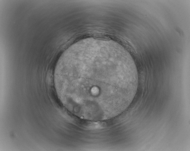 X0000115190083200911181457