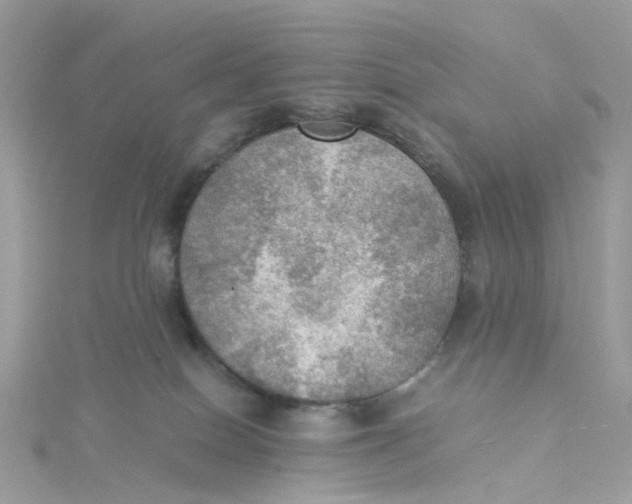 X0000115190086200911181457