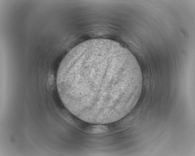 X0000115190087200911181457