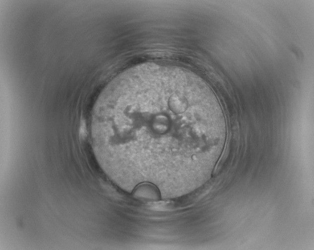 X0000115190089200911181457