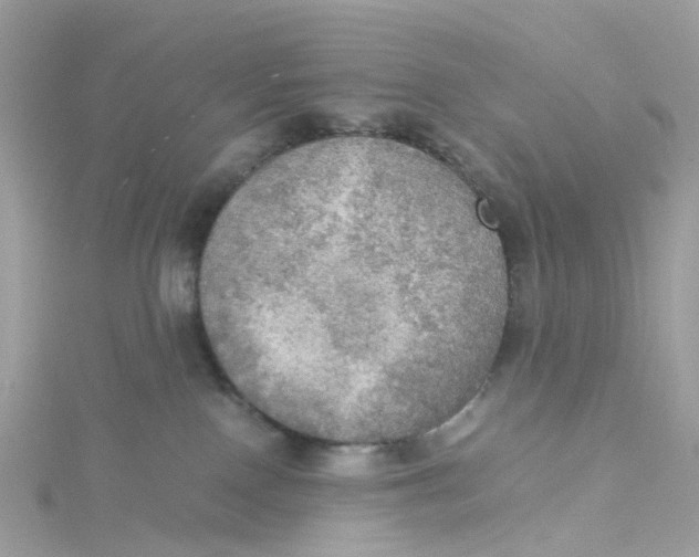 X0000115190090200911181457