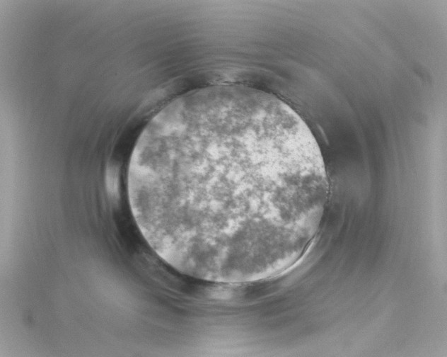 X0000115190094200911181457