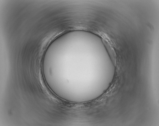 X0000115190097200911181456