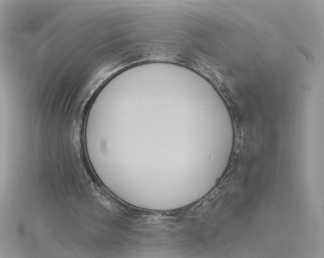 X0000115190098200911181456