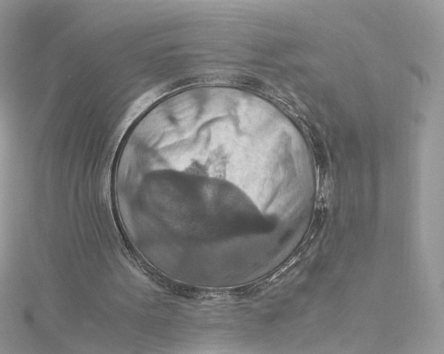 X0000115190099200911181456