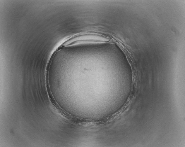 X0000115190100200911181456