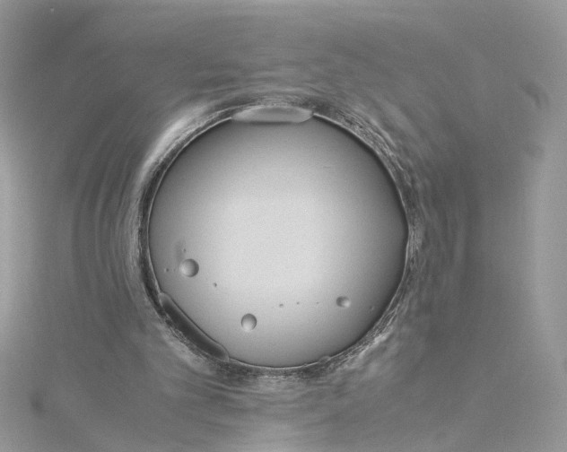 X0000115190101200911181456