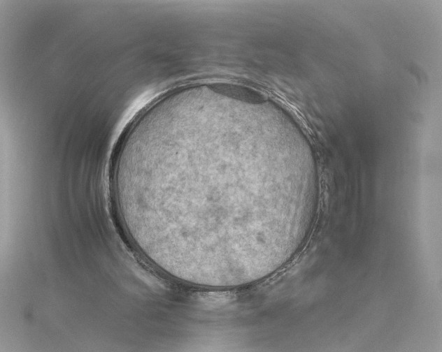 X0000115190102200911181456