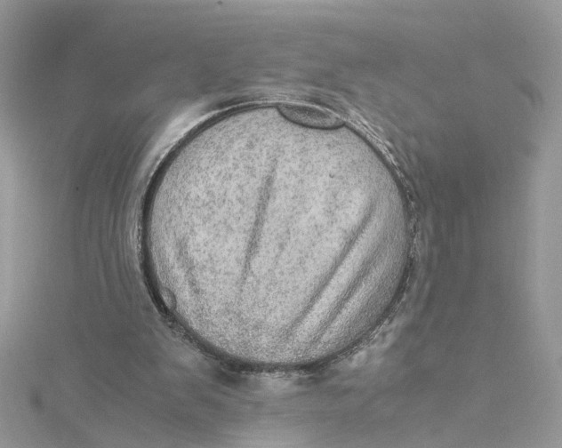 X0000115190103200911181456