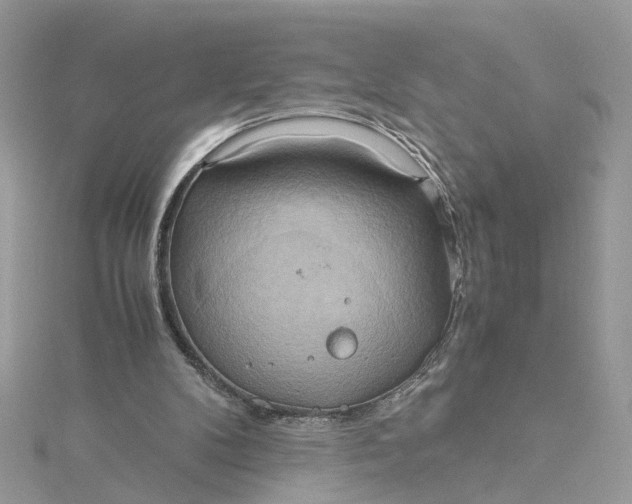 X0000115190104200911181456