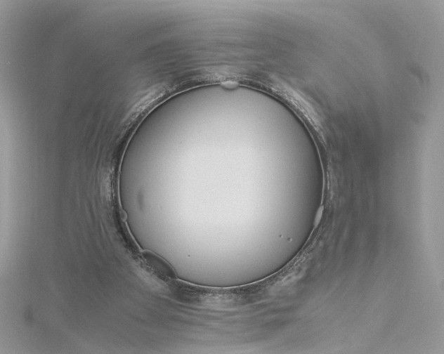 X0000115190105200911181456