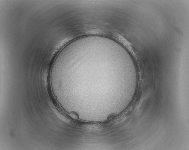 X0000115190106200911181456