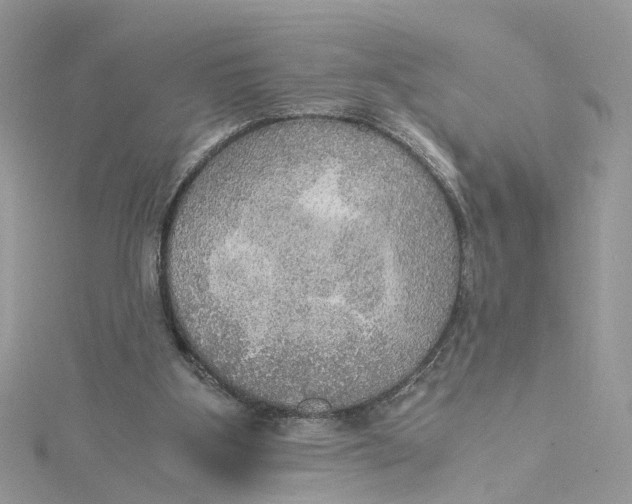 X0000115190107200911181456