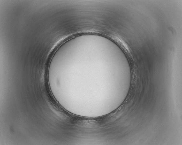 X0000115190108200911181456