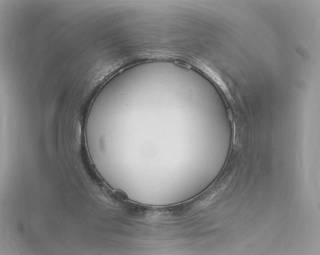 X0000115190109200911181456