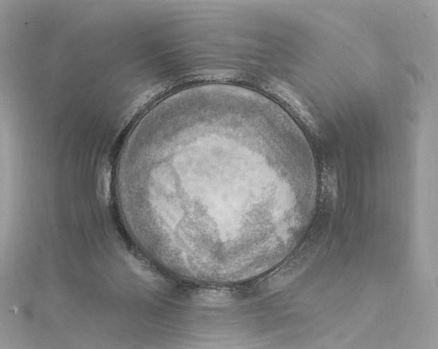 X0000115190110200911181456