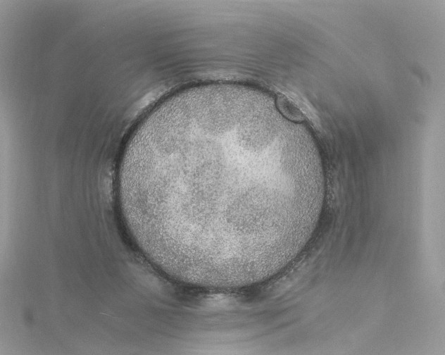 X0000115190111200911181456