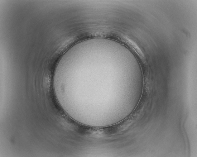 X0000115190113200911181456