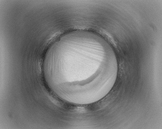 X0000115190114200911181456