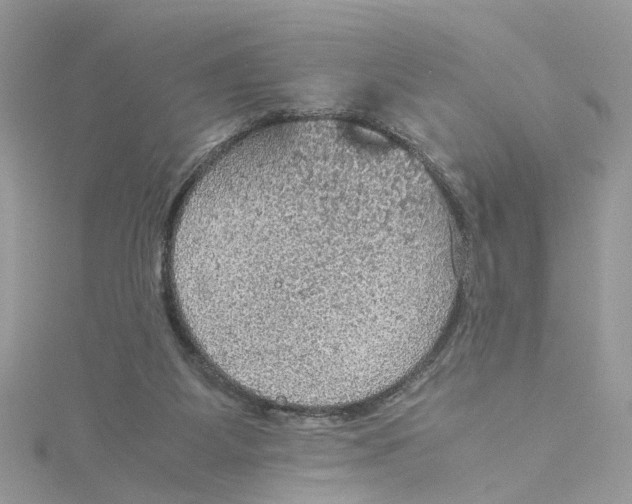 X0000115190115200911181456