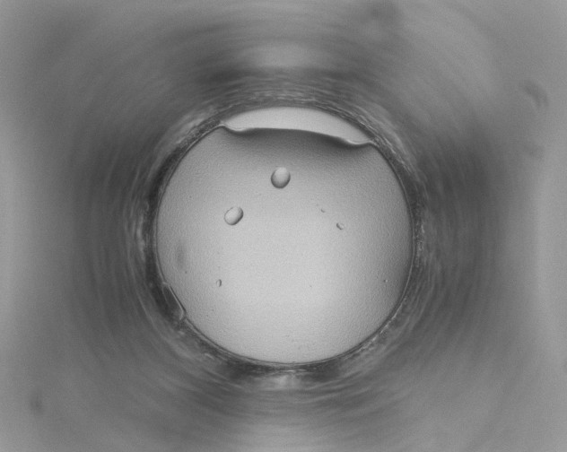 X0000115190116200911181456