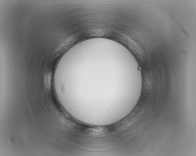 X0000115190118200911181456