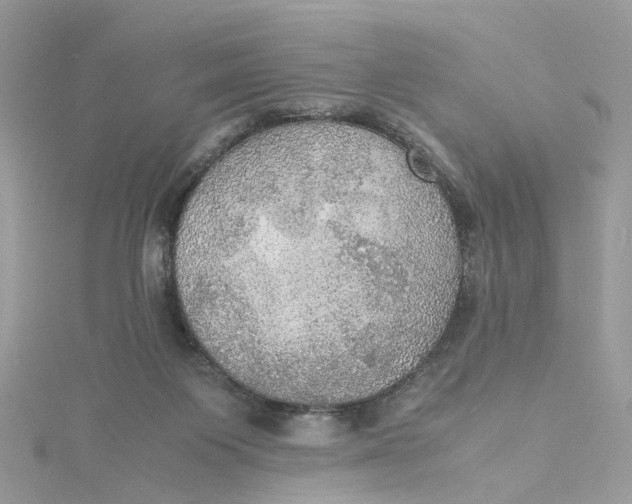 X0000115190119200911181456