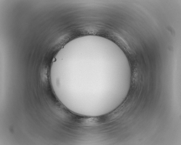 X0000115190122200911181456