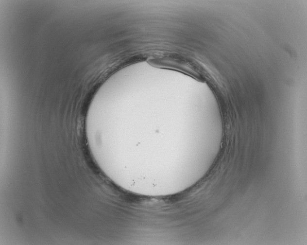 X0000115190125200911181456