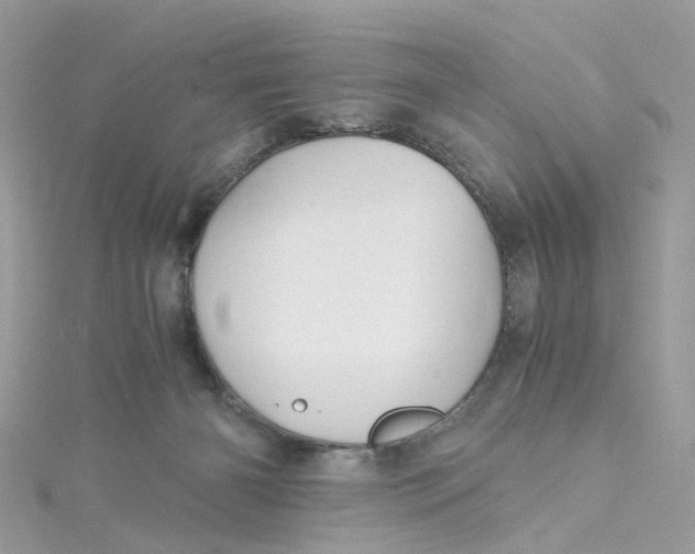 X0000115190126200911181456