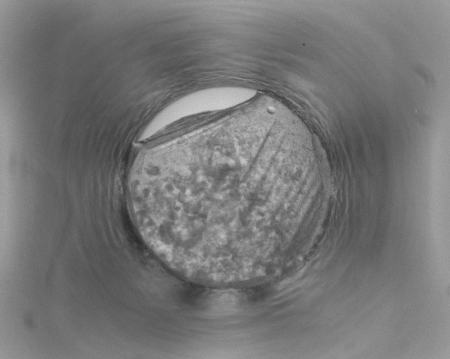 X0000115190127200911181456