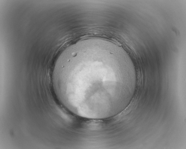 X0000115190128200911181456