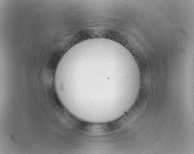 X0000115190129200911181456