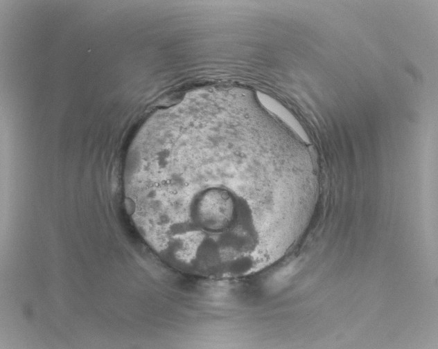 X0000115190131200911181456