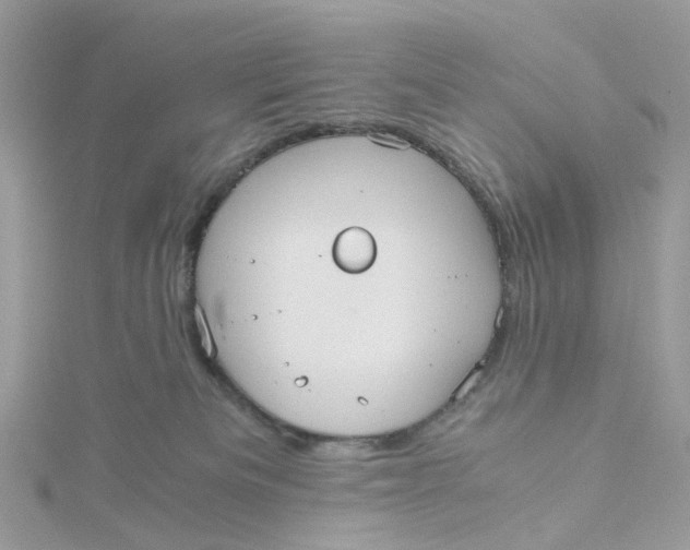 X0000115190133200911181456