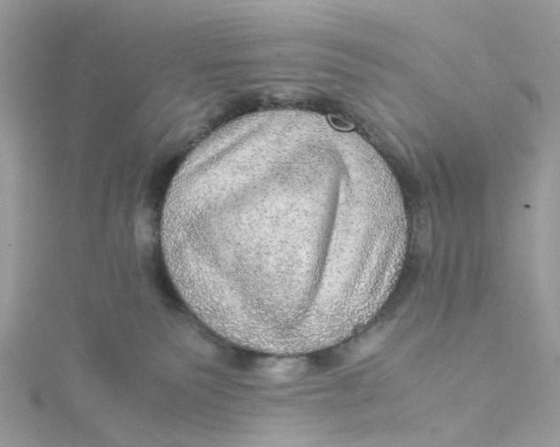 X0000115190135200911181456